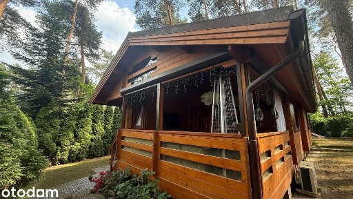 ul. Spacerowa, Niesulice, Skąpe, świebodziński, lubuskie