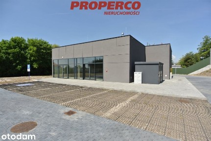 Lokal 234,09m2, Pińczów.