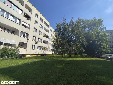 Duże 3 pokoje z balkonem i piwnicą//Bacciarellego!