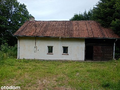 DOM WOLNOSTOJĄCY Z DUŻĄ DZIAŁKĄ - 2394 m² | 700 m OD JEZIORA ZAWROTY
