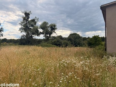 Budynek inwestycyjny z 4 mieszkaniami | 300 m² | Kosinowo, gm. Prusice