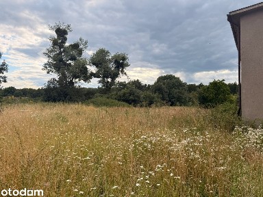Budynek inwestycyjny z 4 mieszkaniami | 300 m² | Kosinowo, gm. Prusice