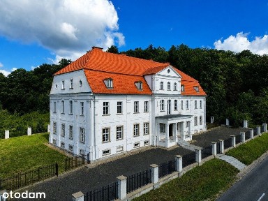 Wyjątkowa inwestycja | Zabytkowy pałac