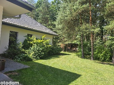 Nowoczesny, energooszczędny dom z leśnym ogrodem na działce 50 ar