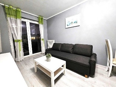Mieszkanie do wynajęcia, 31 m2, centrum, Potulicka
