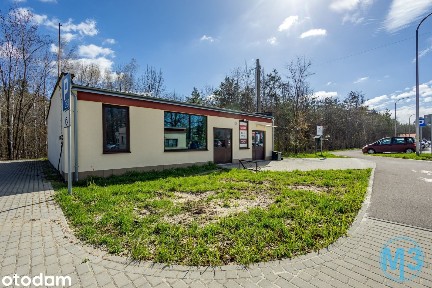 Biznesowy 