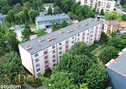 Doskonała lokalizacja | 2 pokoje | 1 piętro | 43,71 m2 powierzchni