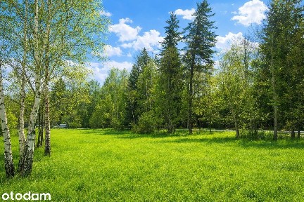 Drewniany dom w Sopotni Wielkiej - cisza, natura i górski klimat