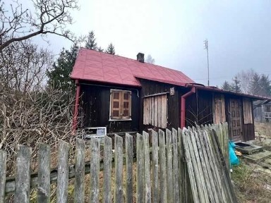 Siedlisko 4300 m2 w Okolicy Lipki Nowe Gmina Stoczek