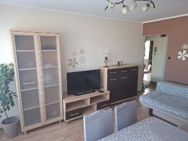 Mieszkanie do wynajęcia BEMA.