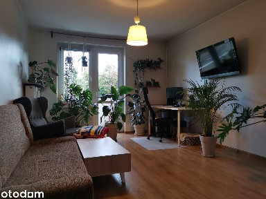 mieszkanie Królowej Jadwigi centrum Poznań - REZERWACJA