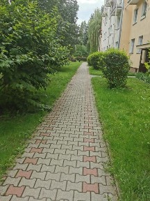 2 pok lub 3 pok. W parkowej części ochoy, Nowickiego 3