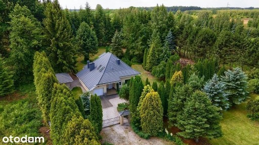 Dom z działką 7600 m² | Cisza i natura