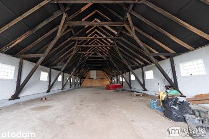 Stepnica-hala 310 m2 do 680 m2 do wynajęcia