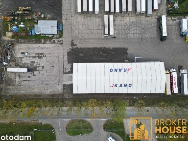 Zielonogórska, Kolonia Gosławicka, Opole, opolskie