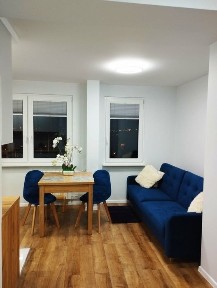 Mieszkanie po kapitalnym remoncie w centrum
