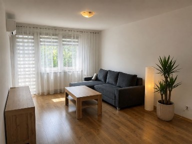 Śródmieście mieszkanie 2 pokoje, balkon, 45 m