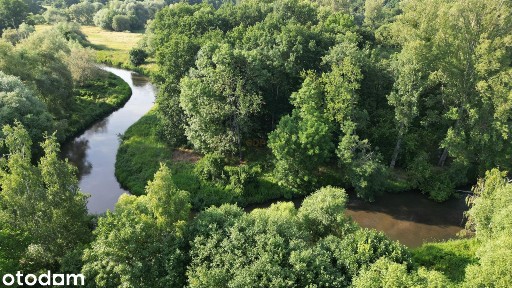 Dom z piękną i dużą działką 4000 m² - Wrocław