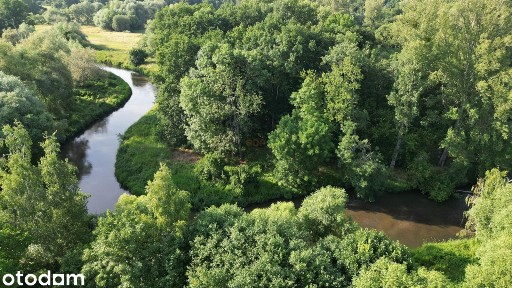 Dom z piękną i dużą działką 4000 m² - Wrocław
