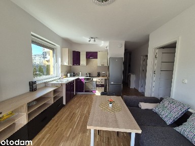 Nowe mieszkanie 3 pokojowe na Jagodnie pierwszy najem ogród
