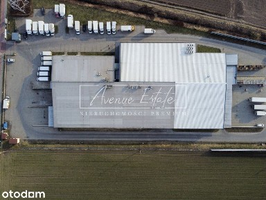 Magazyn z chłodnią 5084 m² / Bronisze