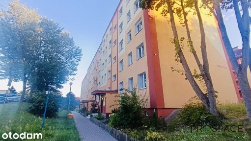 Sokola, Osiedle Jana Kilińskiego, Centrum, Zielona Góra, lubuskie
