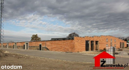 Lokal użytkowy, 3 600 m², Wrocław
