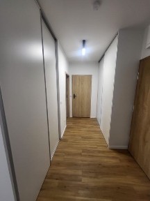 Mieszkanie na wynajem 50m2