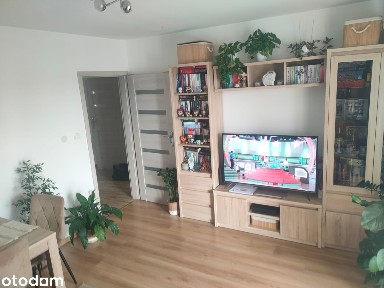 2 pokoje 51,6 m² | 1 piętro | balkon | piwnica | bezpośrednio