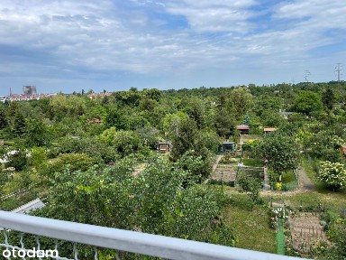 Mieszkanie 3-pok. w centrum i w zieleni, Reja 72m2. Super lokalizacja.