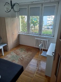 Kujawsko-pomorskie, Toruń