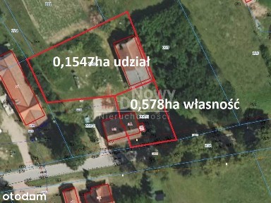 Bliźniak W Piłakach Wielkich !