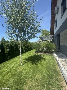 Przestronny bliźniak z ogrodem, gotowy do zamieszkania (rezerwacja)