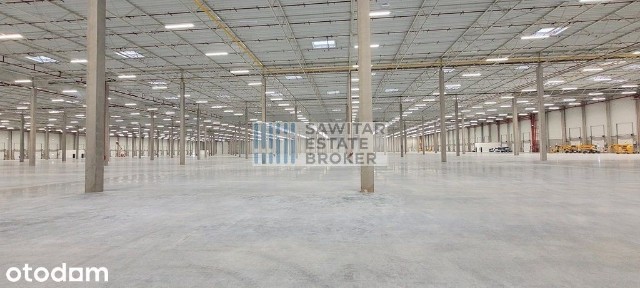 Magazyn klasy A, 3240 m2, Lędziny - Bez Prowizji