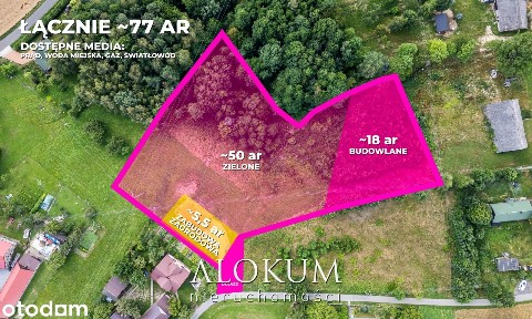 Twoja oaza spokoju z widokiem na góry - 77 arów i domek holenderski