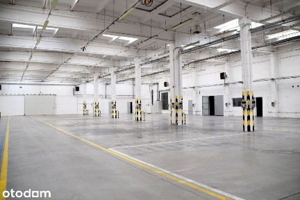 3302 m² - hala do wynajęcia na terenie Ocl