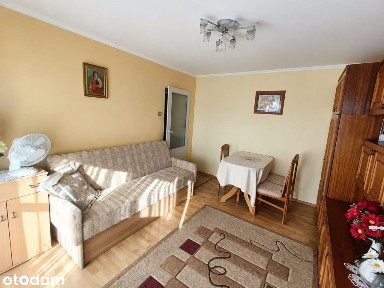 2 pokoje, Sady, loggia, winda, oddzielna kuchnia
