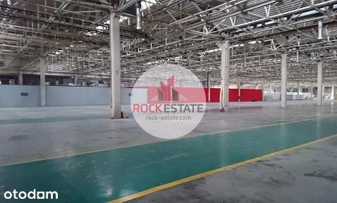 Magazyn 2500 m2 na Pradze Północ od zaraz