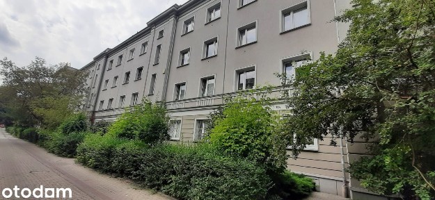 Katowice, Koszutka,k/Wydziału Psych.i Pedag.2osobne pok,wysoki parter