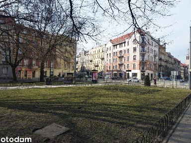 110m pl. Miarki Kościuszki sklep usługi witryny