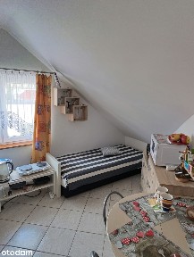 WŁASNA PRZYSTAŃ NAD MORZEM W MIĘDZYWODZIU-250 M DO PLAŻY.