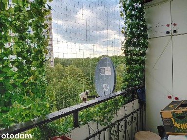 3 pokoje 57 m², loggia, tuż przy Lesie Bielańskim