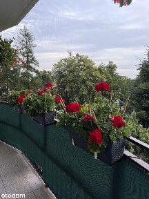 Przestronne 3-pokojowe mieszkanie z balkonem
