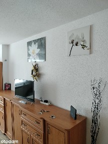 Mieszkanie 1-pokojowe z piwnicą w Lęborku Kawalerka Pokój