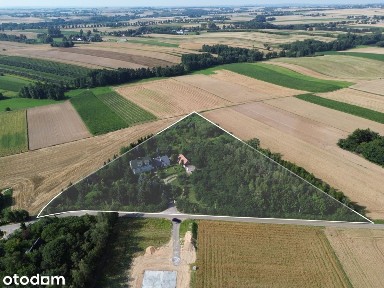 Posiadłość 1,60 ha | Dom sztuki | Inwestycja
