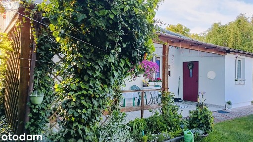 Kozice, Gostynin, gostyniński, mazowieckie