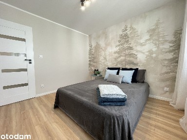Centrum Sosnowca | 2 pokoje po remoncie | 0% prowizji | Balkon