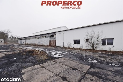 Hala 1600m2, Czarnów, Kielce