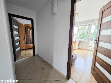 3 pokojowe mieszkanie po remoncie, gotowe do zamieszkania, Koncertowa