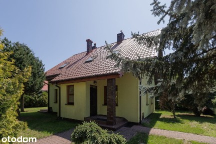 rn385724